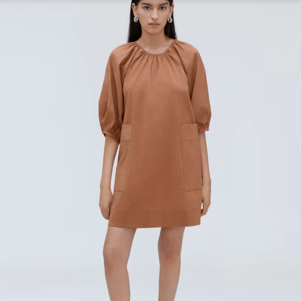 Everlane The Seersucker Puff Sleeve Dress, Brown Size S EUC